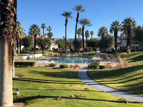 Walk out to this beautiful pool as viewed from our patio!
