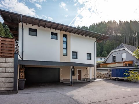 Apartment Steidl, Austria Apartment in Salzburgerland