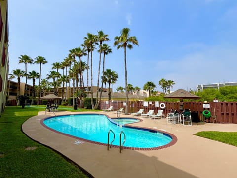 Amazing Swimming Pool Area