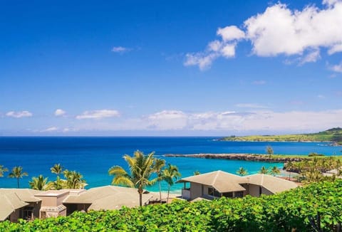 Enjoy tropical views Maui dreams are made of