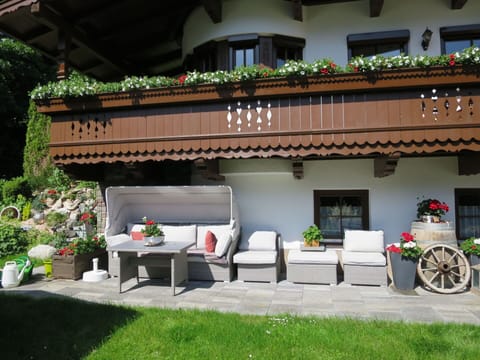 Plant, Building, Wheel, Property, Furniture, Window, Table, Shade, Flowerpot, House