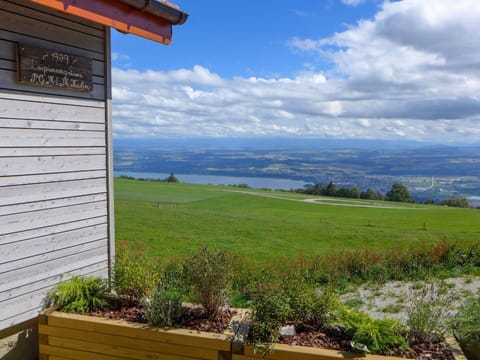 Sky, Cloud, Plant, Property, Building, Azure, Natural Landscape, Land Lot, Tree, Wood