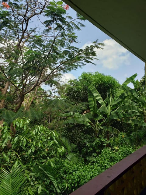 Tree house View high in the Mountain