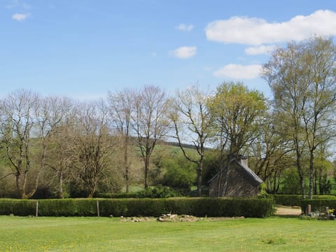 Our meadow next to the house
