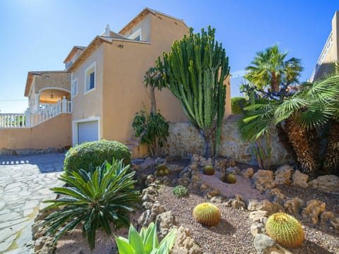 Sky, Plant, Plant Community, Window, Arecales, Terrestrial Plant, Building, Vegetation, Biome, House