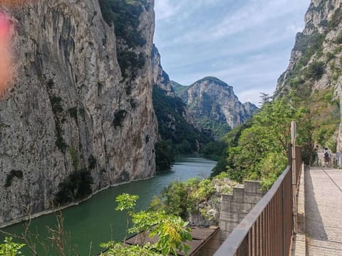 Region [summer] (>5 km)