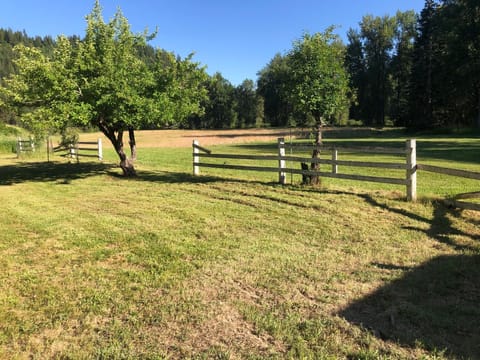 More property to enjoy!