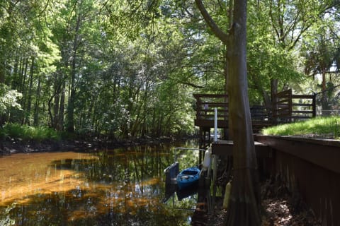 very private location with wildlife viewing from the backyard