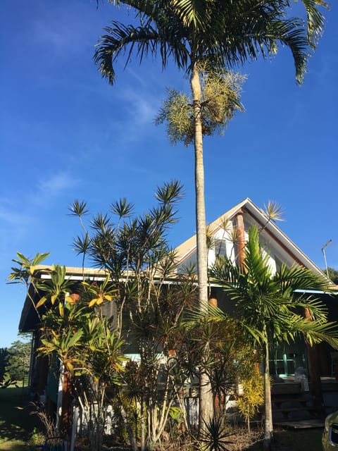 Tropical pole home on acreage 3 min drive from beach.