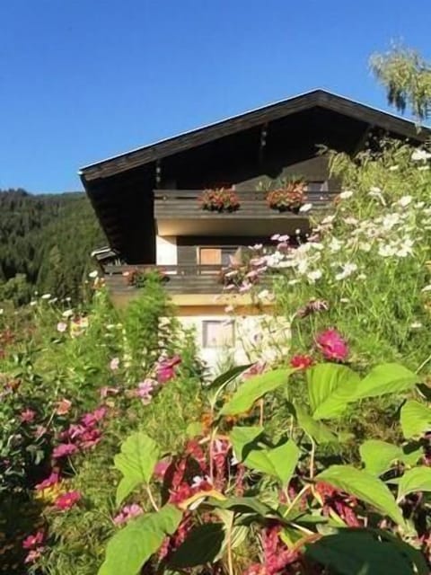 External view of the building