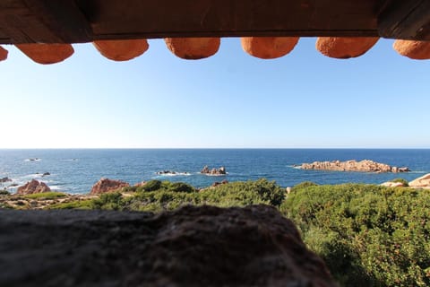 Terrace. Terrace with sea view