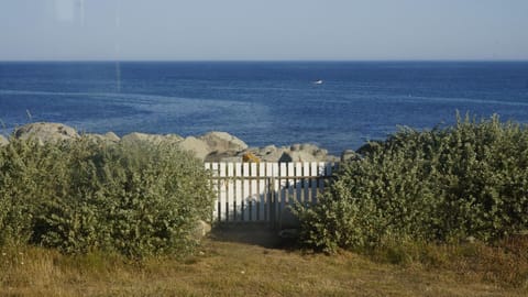 Area that directly surrounds the property - from the garden, direct access to the ocean