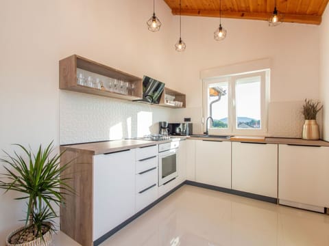 Cabinetry, Plant, Countertop, Houseplant, Wood, Kitchen, Home Appliance, Floor, Flooring, Drawer