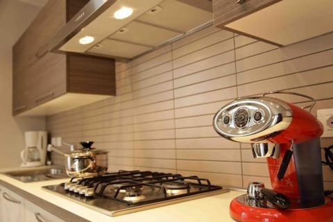 The kitchen is equipped with all the necessary