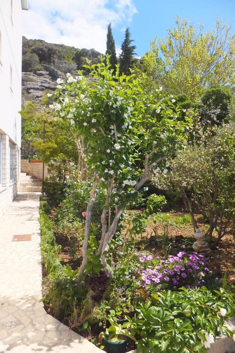 Garden. The passage to the apartment