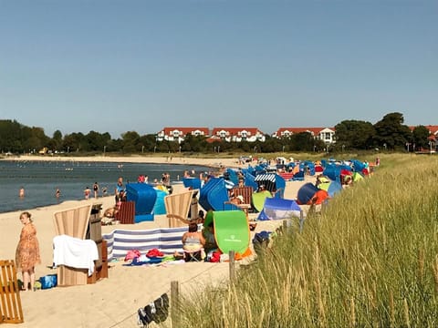 Town/city in general