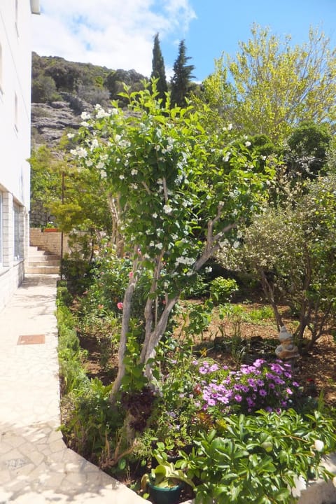Garden. The passage to the apartment