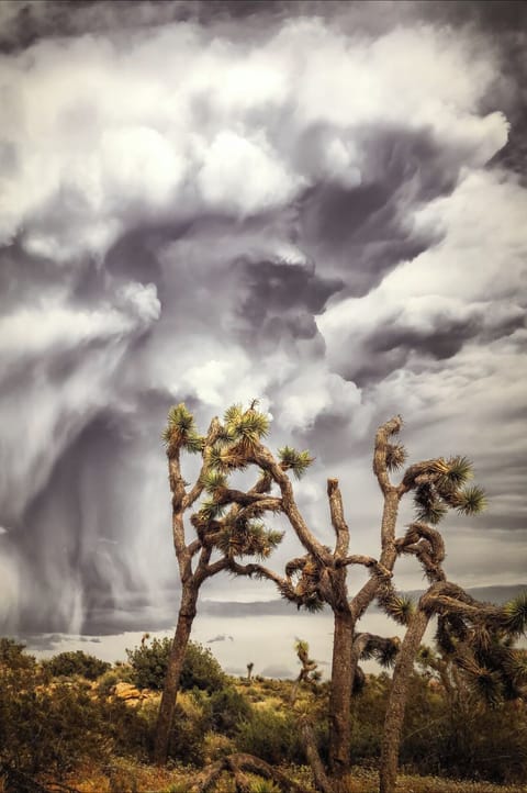 storm bringers coming !