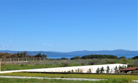 Area that directly surrounds the property