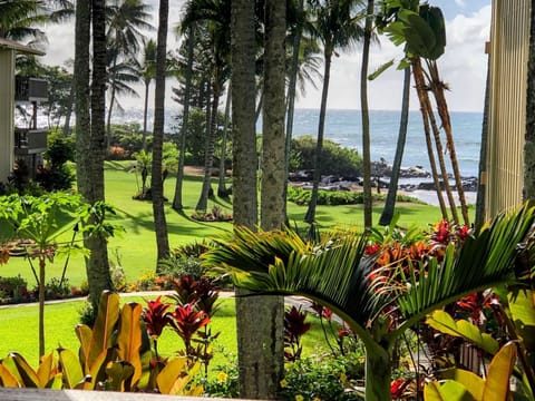 View from lanai, lush manicure garden by the beach