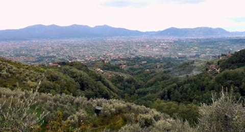 View from the window. Magnificent view