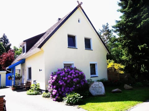 External view of the building