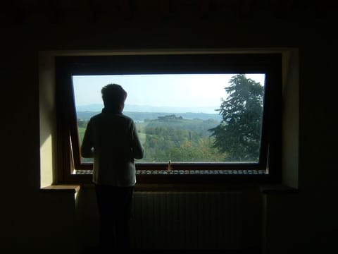 View from the window. Panoramic view through the large window in the Bedroom