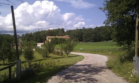 External view of the building