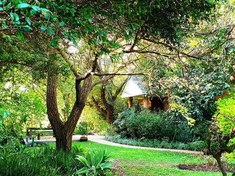 Bushbaby Cottage nestled in a lush garden surrounded by nature 