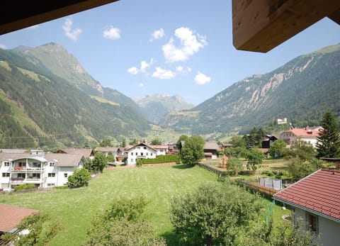 View from the window