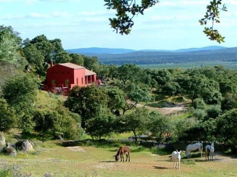 External view of the building. The Cortijo of Finca al-manzil