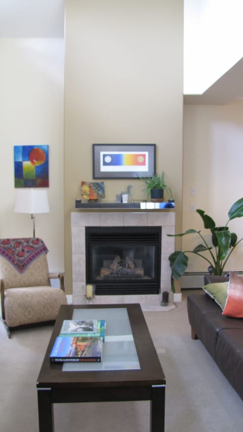 Living room instant gas fireplace with cathedral ceiling 