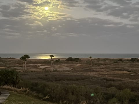 Bright moon reflecting off the bay is a breathtaking view. to see!