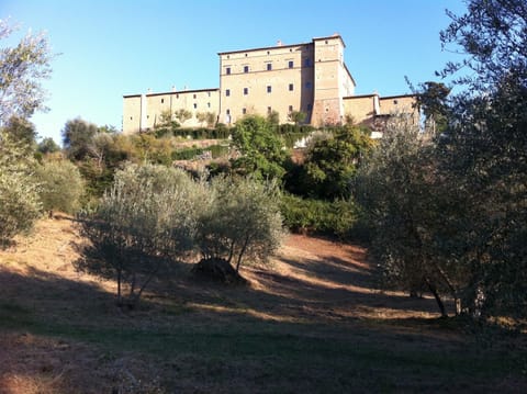 A view of the castle from below in the olive grove in September