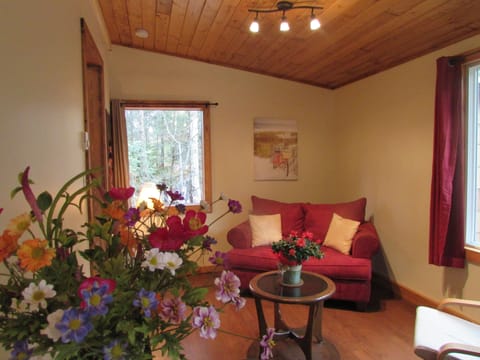 Cozy and bright living area. 