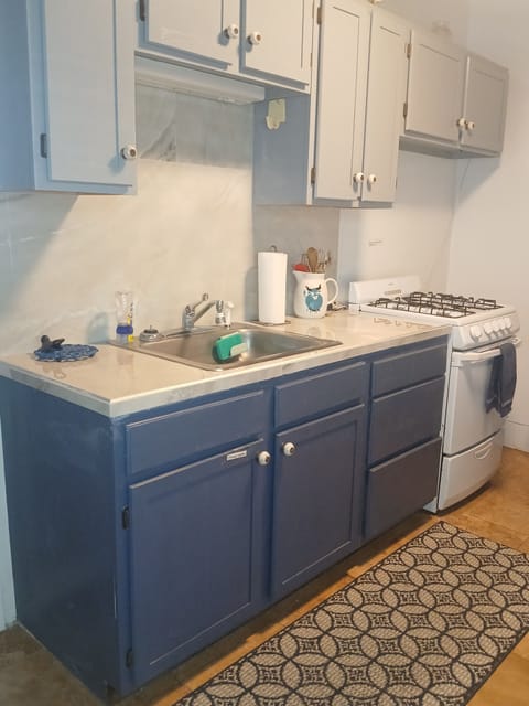 Kitchen sink and apartment size gas stove. 