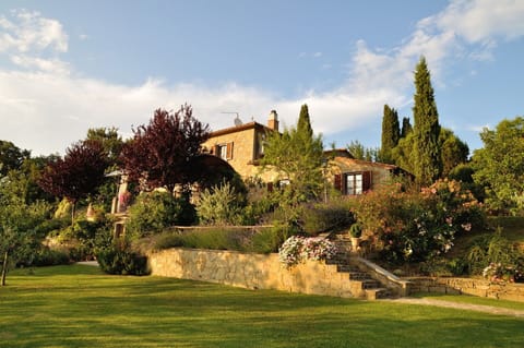 Garden and outdoor view