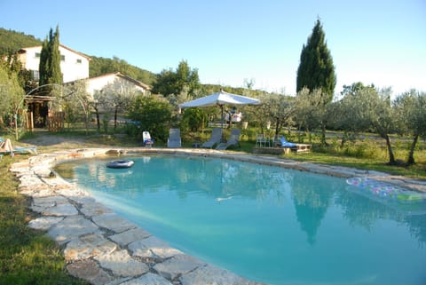 Swimming pool and outdoor view
