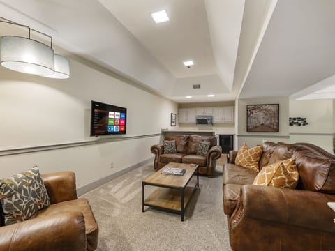 Lower level living area