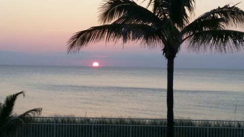 View from the balcony