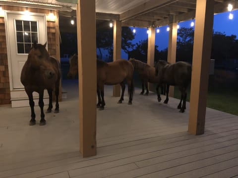 Saturday night dance party