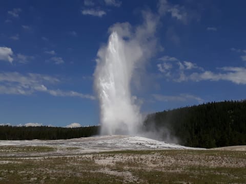Old Faithful 