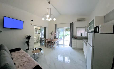 apartment living room , kitcken