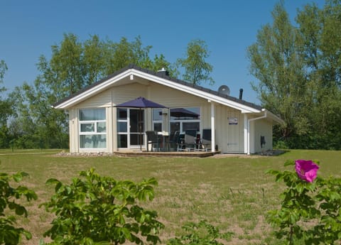 Main view
