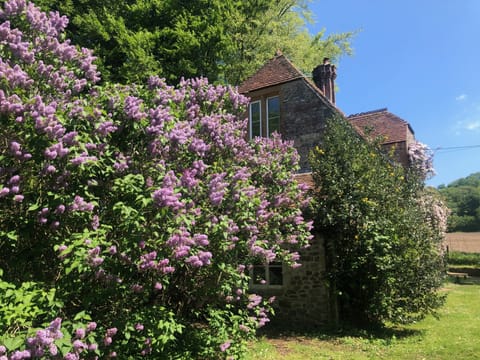 Garden - Bedroom window showing 
