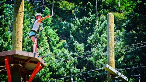 480599c5-3987-466d-a0be-4fba6b44cf5d