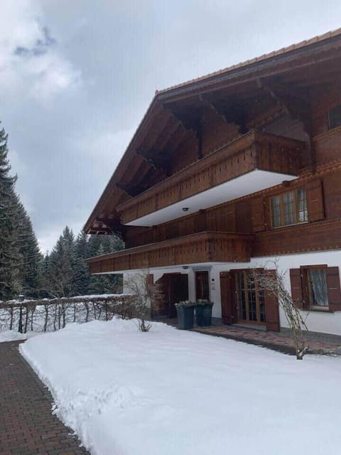 path to the entrance of the chalet