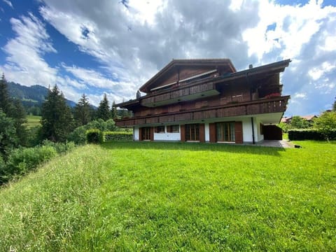 the chalet from the back yard 