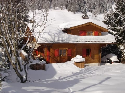 the snow covered  charming chalet (Winter 1)  