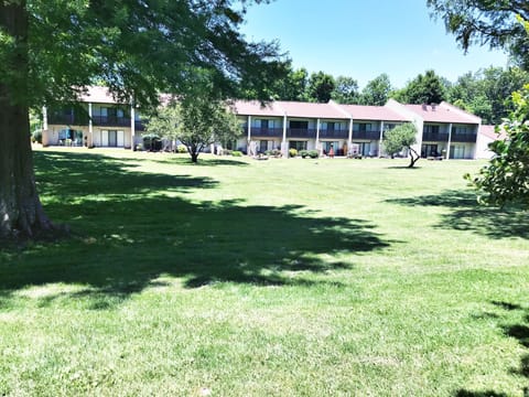View from patio into courtyard